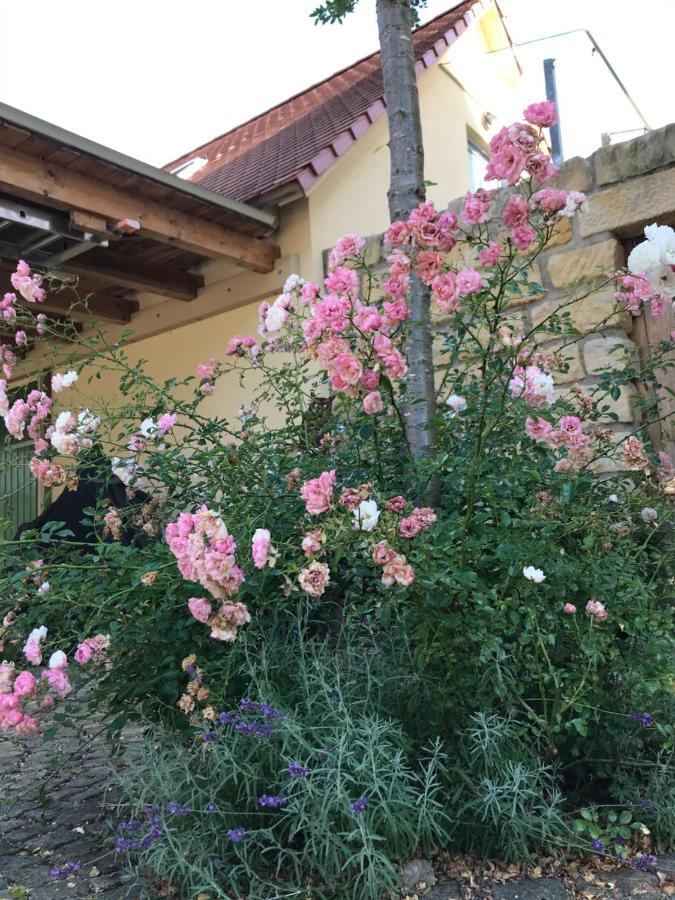 Naturapur Pleinfeld Dış mekan fotoğraf